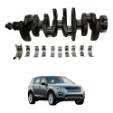 Virabrequim Discovery Sport Evoque 2.0 2012 2019 Stander