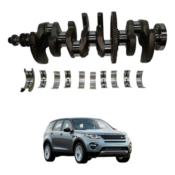 Virabrequim Discovery Sport Evoque 2.0 2012 2019 Stander